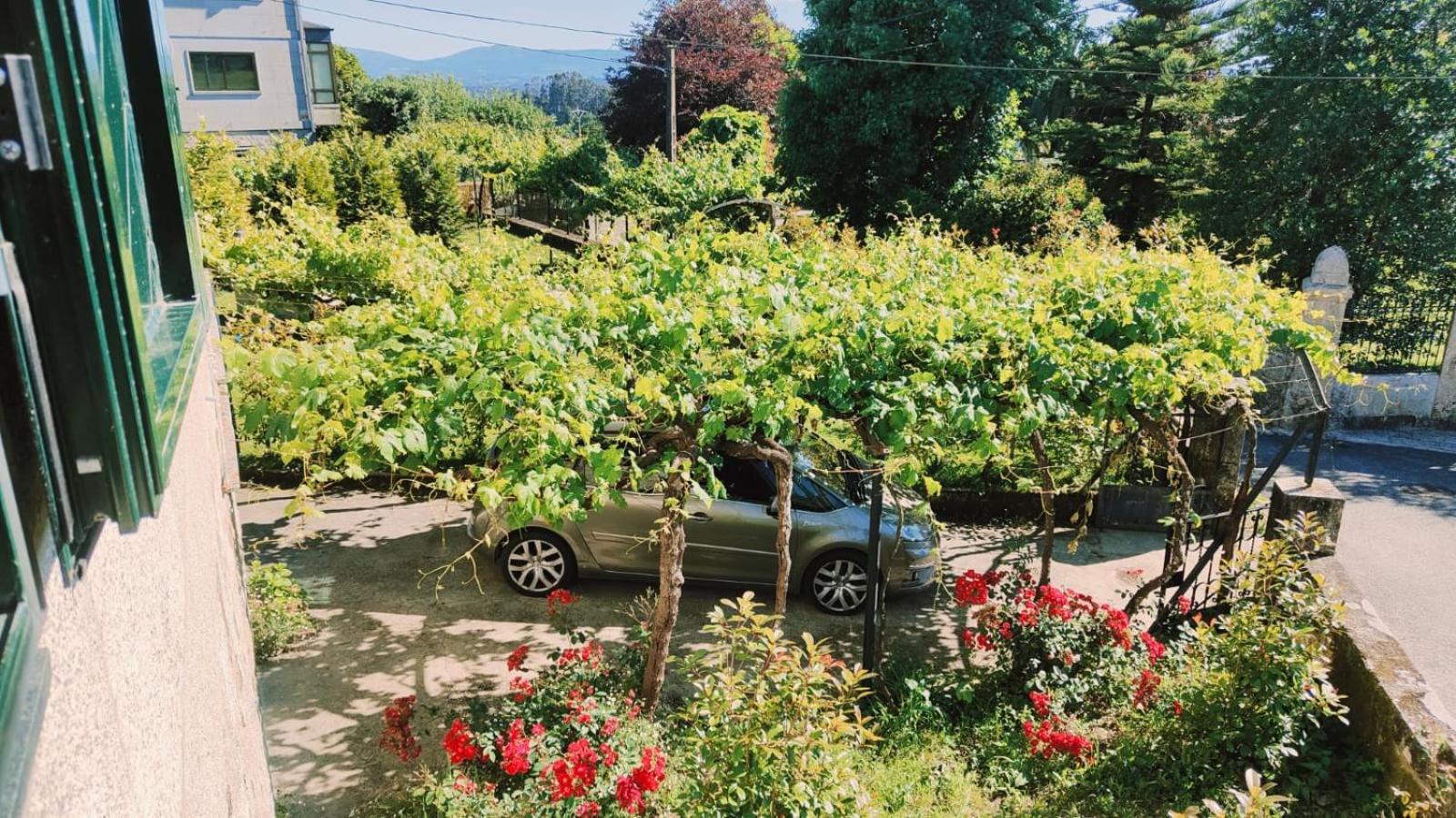 Villa San Martin Mondariz Dış mekan fotoğraf